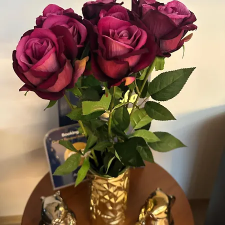 Artemis 4* Drawsko Pomorskie