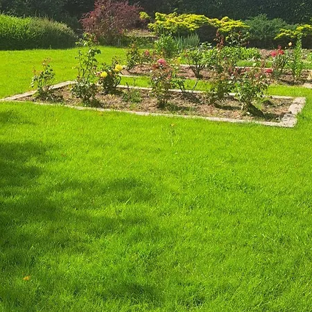 Artemis Bed & Breakfast 3*