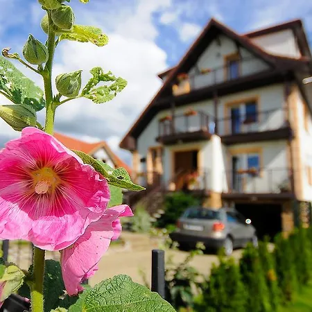 Artemis Bed & Breakfast