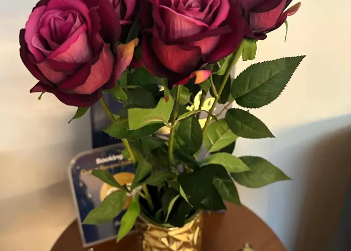 Artemis 4* Drawsko Pomorskie