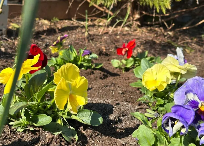 Bed & Breakfast Artemis 4*