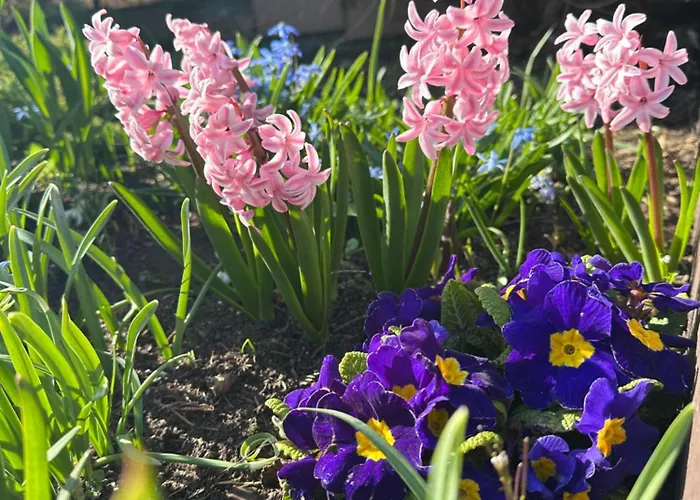 Artemis Bed & Breakfast