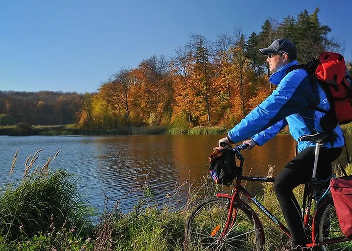 Bed & Breakfast Artemis 4*