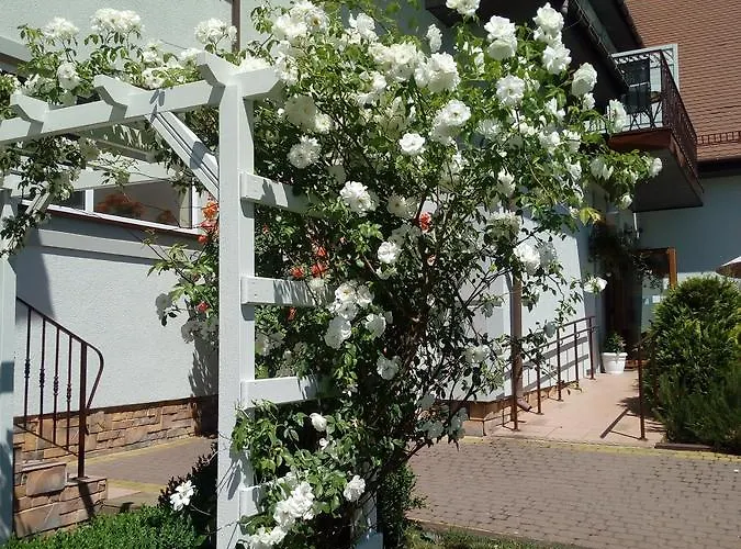 Artemis Bed & Breakfast